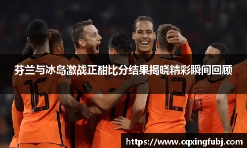 芬兰与冰岛激战正酣比分结果揭晓精彩瞬间回顾