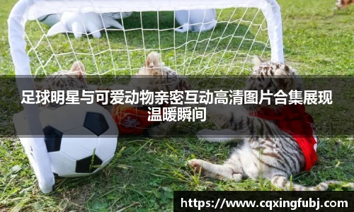 足球明星与可爱动物亲密互动高清图片合集展现温暖瞬间